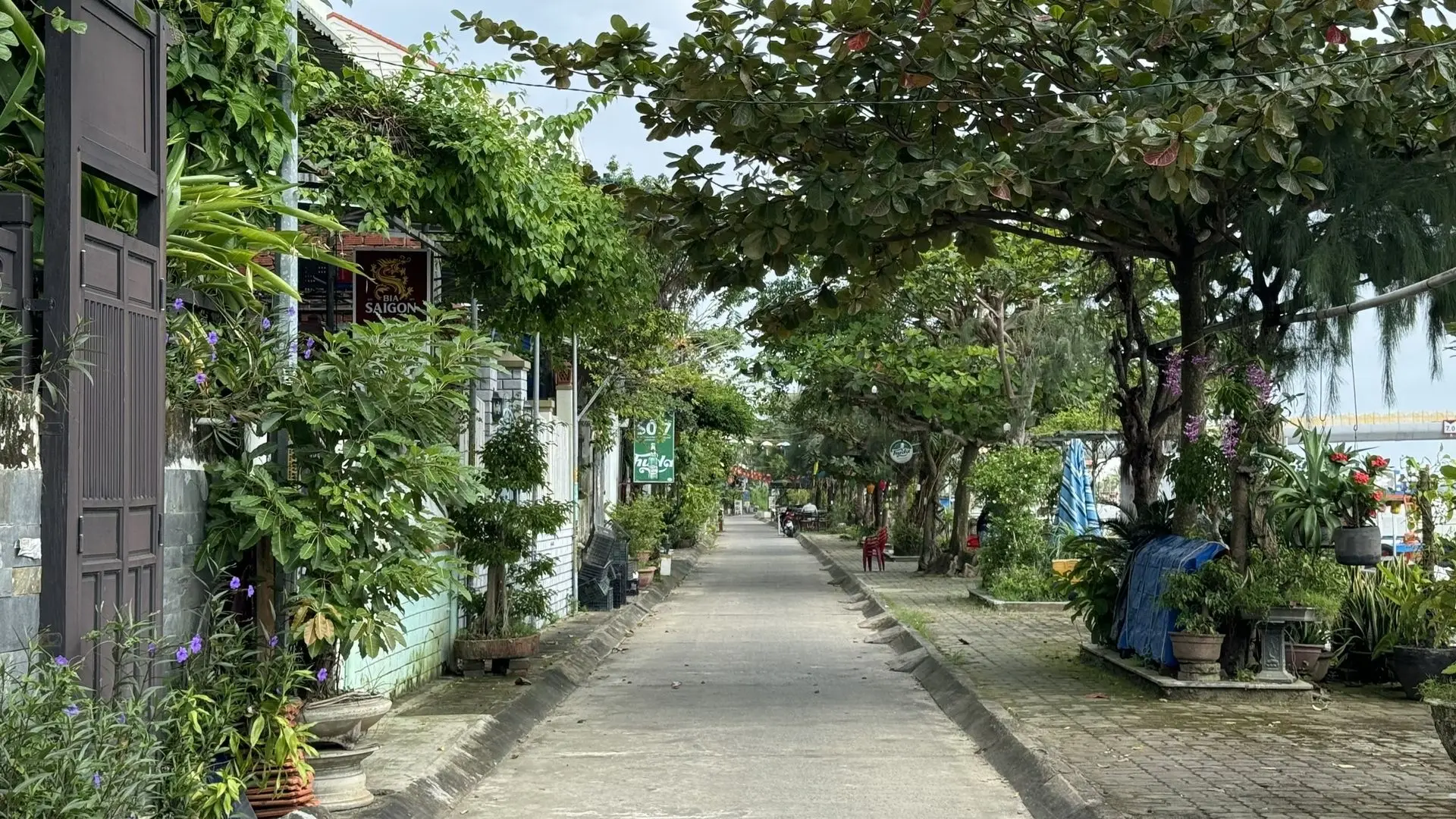 hoi an city center
